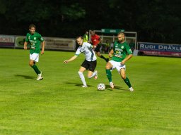 dsc02753-verbessert-rr