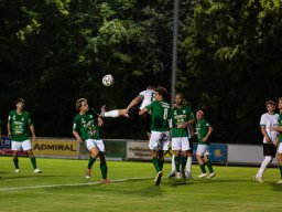 dsc02761-verbessert-rr