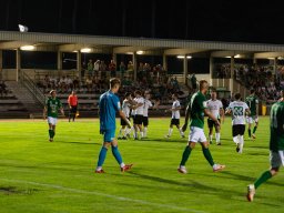 dsc02792-verbessert-rr