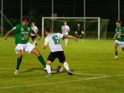 dsc02909-verbessert-rr